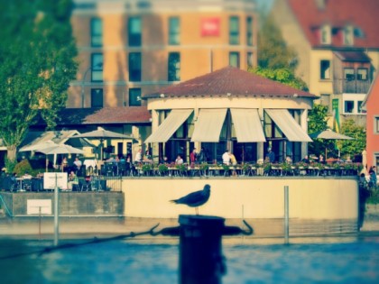 Foto: Rheinterrasse